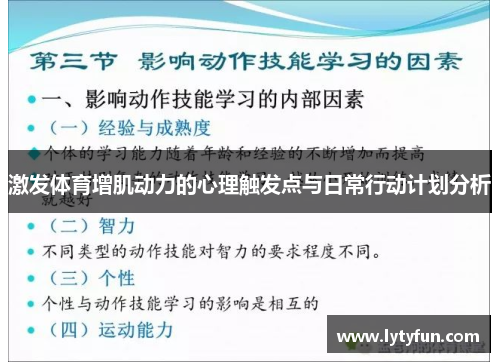 激发体育增肌动力的心理触发点与日常行动计划分析